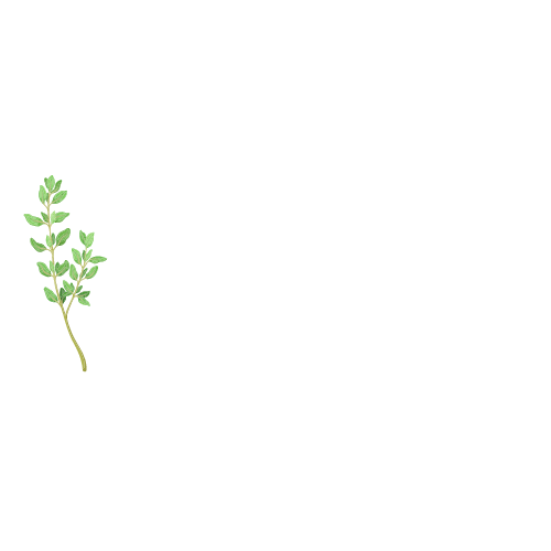 Thyme to Go Vegan RD logo