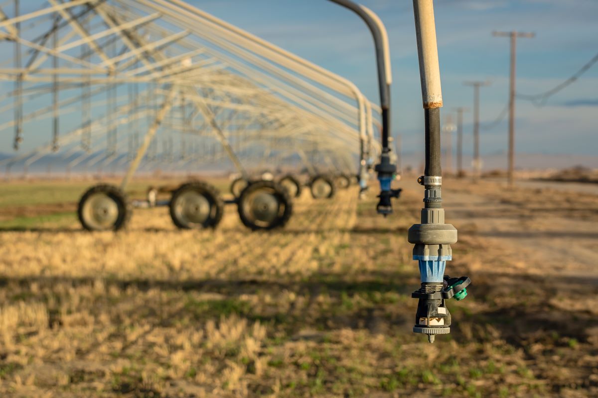 Irrigation system for a field of crops