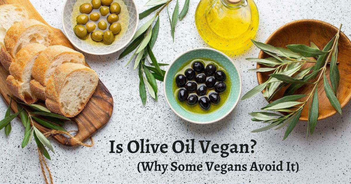 Sliced bread, dishes of olives, and a jar of olive oil on a granite countertop with text overlay reading "Is olive oil vegan? Why some vegans avoid it".